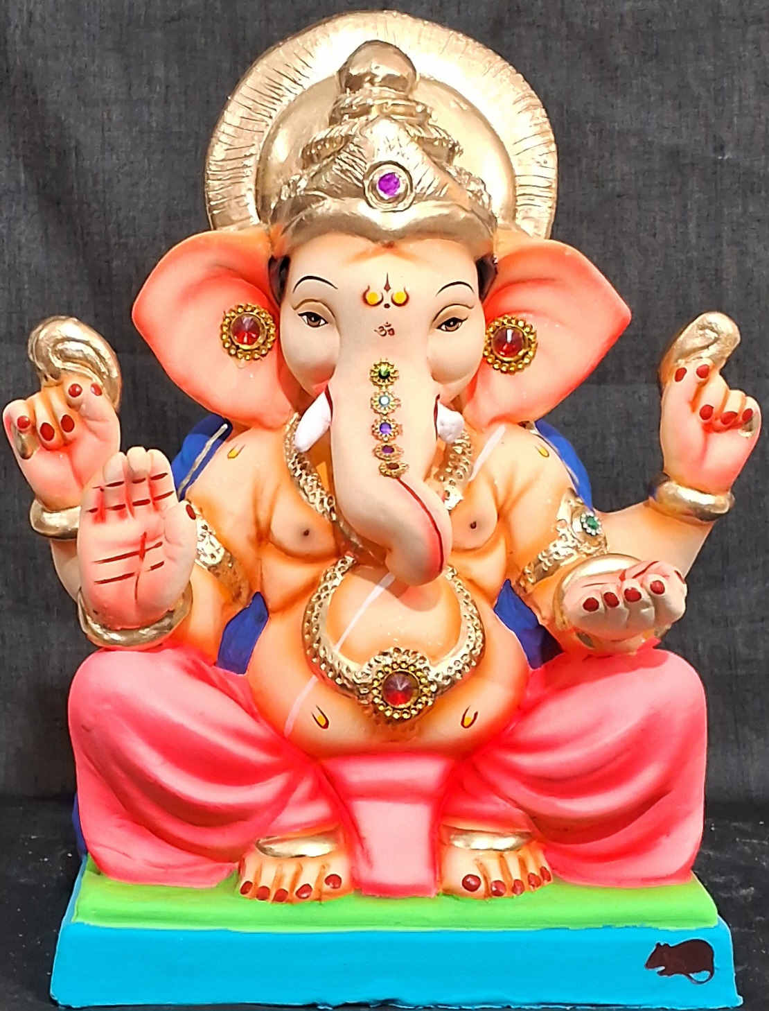 C-शुर्पकर्ण-अबोली