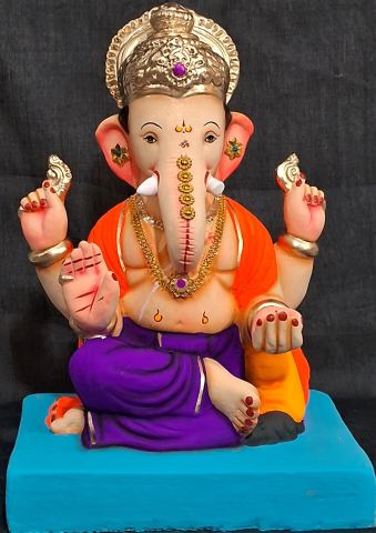 C-सुखनिधी-जांभळा