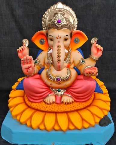 D-सुर्यफ़ुल-अबोली