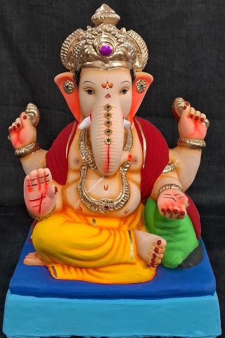 D-सुखनिधी-पिवळा