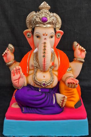 D-सुखनिधी-जांभळा