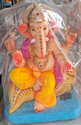 D-शंखासन-पिवळा