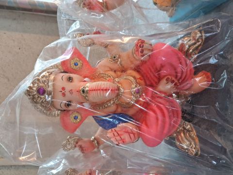 B-बळवंत-अबोली